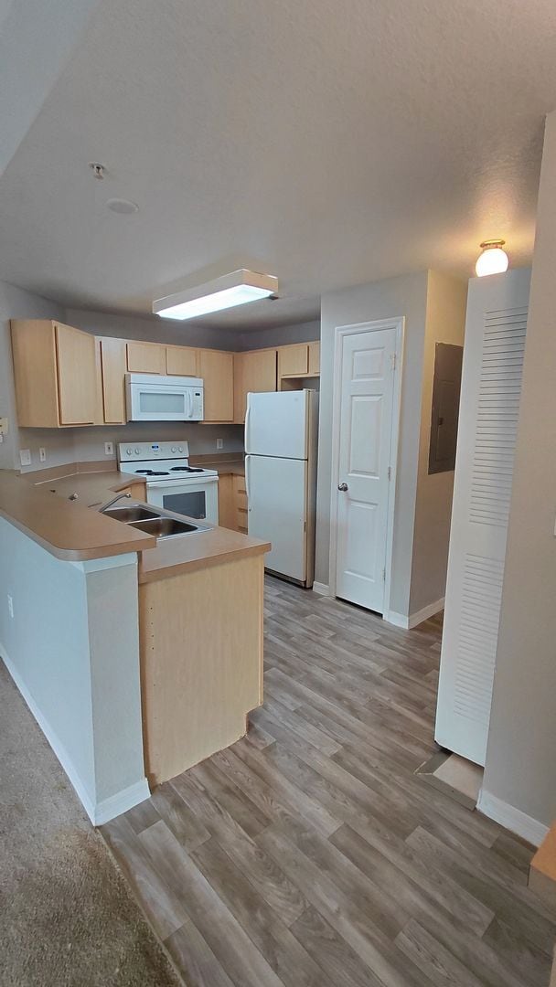 2000 Erving Cir in Ocoee, FL - Building Photo - Building Photo