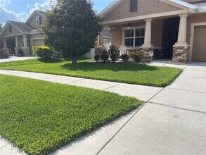 12012 Whistling Wind Dr in Riverview, FL - Building Photo - Building Photo