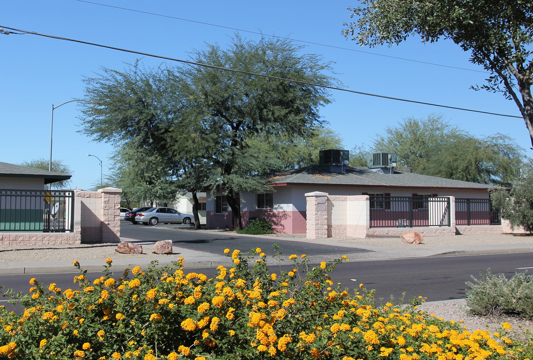 Chandler Terrace in Chandler, AZ - Building Photo