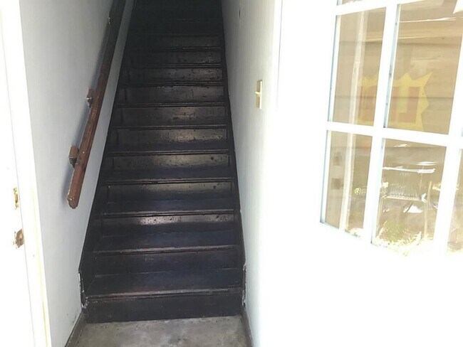 417 Patterson St in Houston, TX - Building Photo - Building Photo