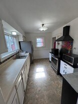 233 E 33rd St in Erie, PA - Building Photo