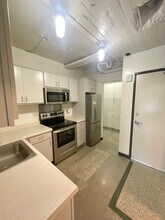 521 W 2nd Street - Leijona in Duluth, MN - Foto de edificio - Building Photo