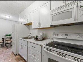 1045 N Pennsylvania St, Unit 303 in Denver, CO - Building Photo - Building Photo