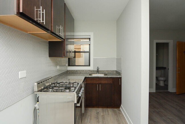 432.5 W Belden Ave in Chicago, IL - Building Photo - Building Photo