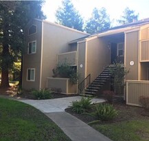 3348 Red Cedar Terrace in Fremont, CA - Building Photo
