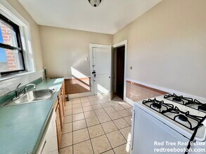 225 Chestnut Hill Ave in Boston, MA - Building Photo - Building Photo