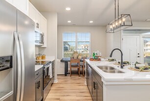 Seasons at Elgin in Elgin, IL - Building Photo