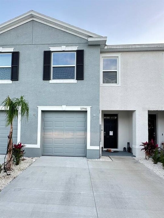 32940 Pez Landing Ln in Wesley Chapel, FL - Building Photo