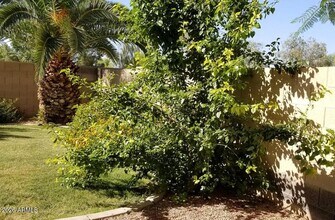 2302 E Winged Foot Dr in Chandler, AZ - Building Photo - Building Photo