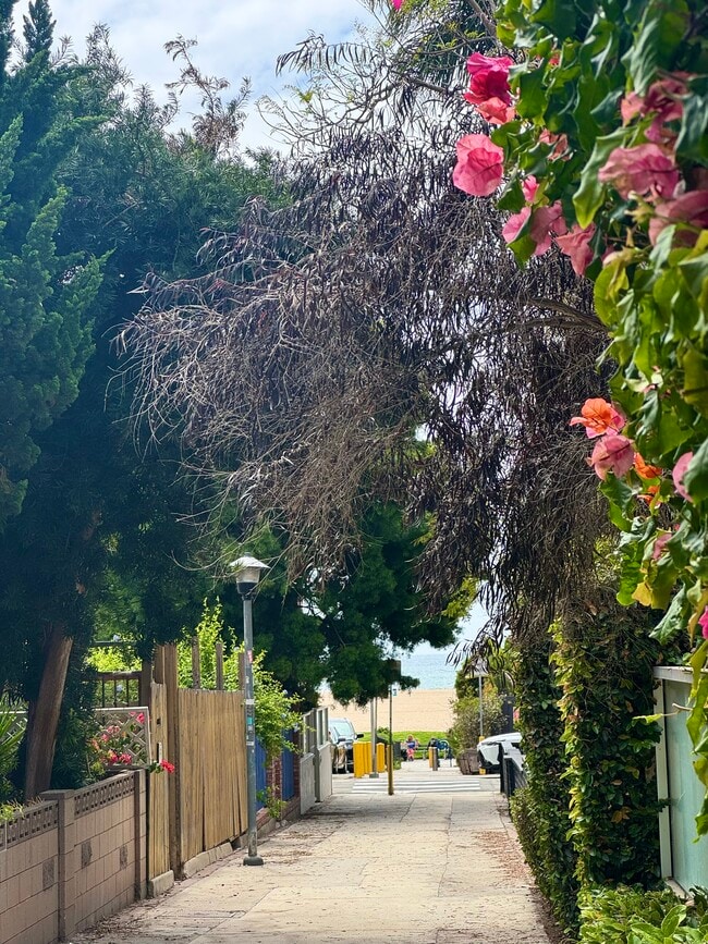 33 Paloma Ave, Unit #1, Unit #1