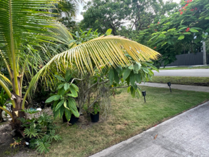 9480 Independence Rd in Cutler Bay, FL - Building Photo - Building Photo