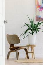 155 River St in Troy, NY - Foto de edificio - Building Photo