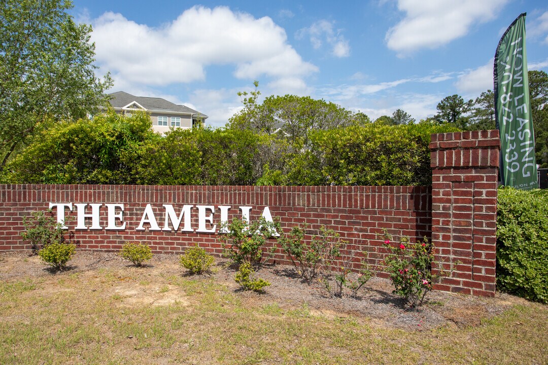 The Amelia in Fayetteville, NC - Building Photo
