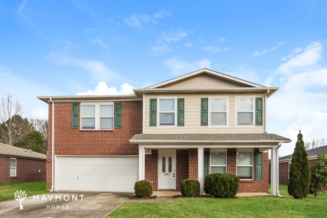 property at 387 Jasmine Dr