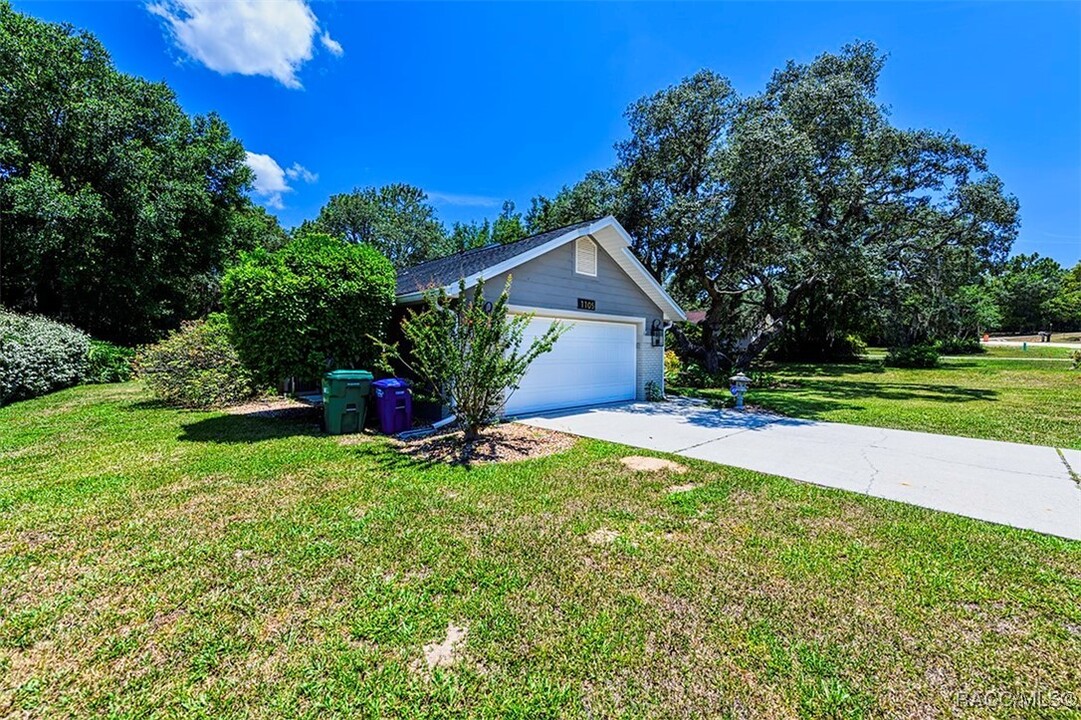 1105 N Chance Way in Inverness, FL - Foto de edificio