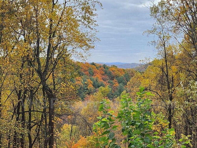 59 Hungry Horse Ln in Sperryville, VA - Building Photo - Building Photo
