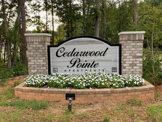 Cedarwood Pointe in Charlotte, NC - Building Photo - Building Photo