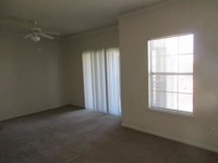 Glenwood Apartments photo'