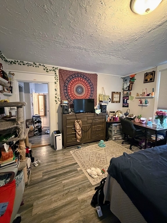 13 Nonantum Pl in Newton, MA - Building Photo - Building Photo