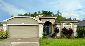 28927 Stormcloud Pass in Zephyrhills, FL - Building Photo