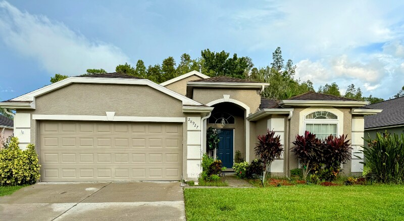 28927 Stormcloud Pass in Zephyrhills, FL - Building Photo