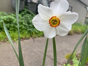 2345 Fulton St in Berkeley, CA - Foto de edificio - Building Photo