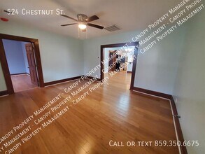 524 Chestnut St in Lexington, KY - Building Photo - Building Photo