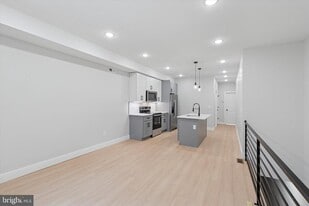 520 W Susquehanna Ave in Philadelphia, PA - Building Photo