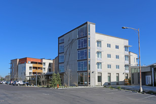 The Arbor at Hesperian Apartments