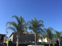 20554 Hartland St in Winnetka, CA - Foto de edificio - Building Photo