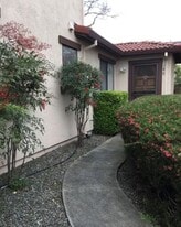 146 W MacArthur St in Sonoma, CA - Building Photo