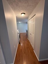 8302 White Star Ct in Springfield, VA - Building Photo - Building Photo