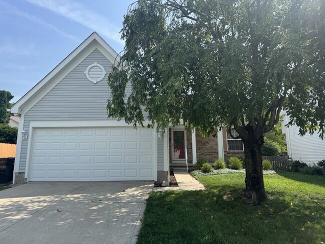 property at 3608 Newell Dr