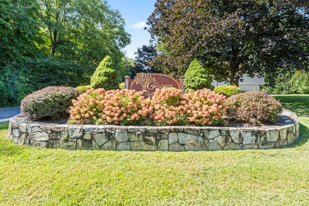 85 Chestnut St in Bethel, CT - Building Photo
