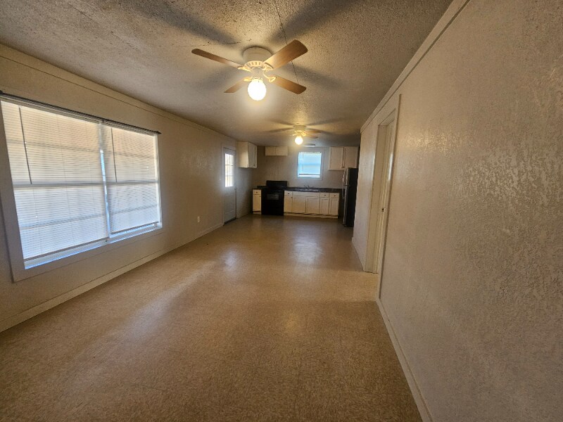 224 NE 2nd St in Walnut Ridge, AR - Building Photo