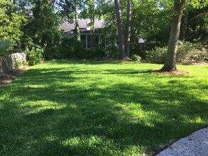 387 Fern House Walk in Mount Pleasant, SC - Building Photo - Building Photo