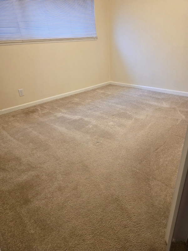 2349 W Newton St in Seattle, WA - Foto de edificio - Building Photo