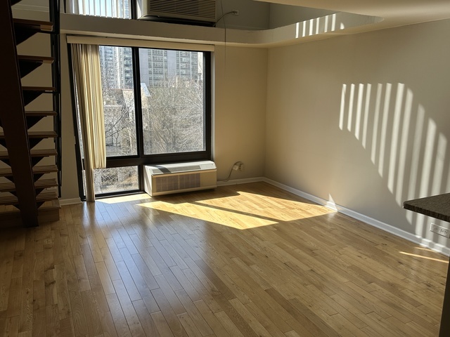 1221 N Dearborn St, Unit 411n in Chicago, IL - Building Photo - Building Photo