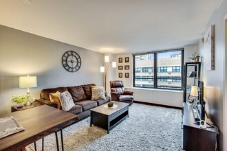 222 E Pearson St in Chicago, IL - Building Photo - Building Photo