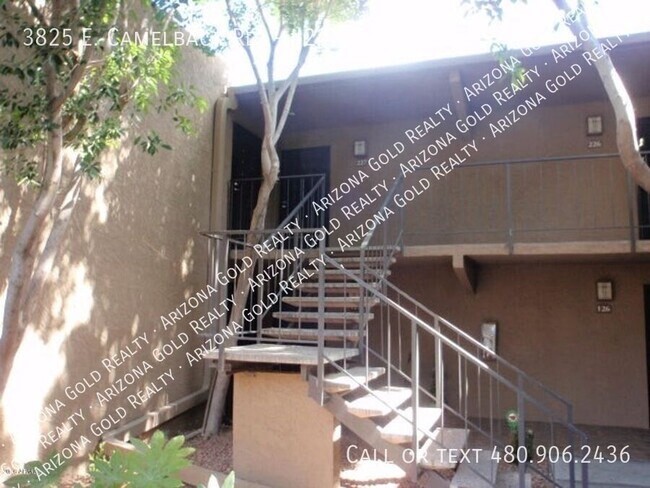 property at 3825 E Camelback Rd
