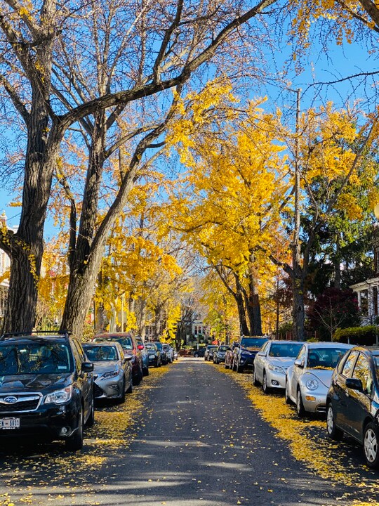 1318 Corbin Pl NE in Washington, DC - Foto de edificio