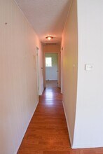 1302 Begonia Terrace in Austin, TX - Building Photo - Building Photo