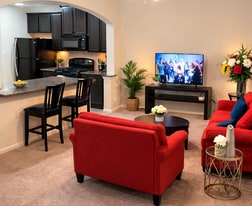 14903 Orchid Meadow Dr in Houston, TX - Building Photo