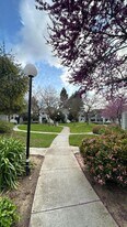 430 Shadowgraph Dr in San Jose, CA - Building Photo