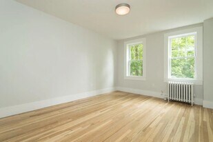 260 Chestnut Hill Ave, Unit 1 in Boston, MA - Building Photo
