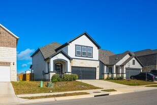 316 Breccia Trl in Liberty Hill, TX - Building Photo