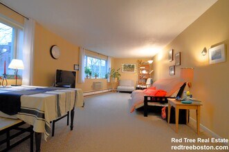 50 Green St, Unit 316 in Brookline, MA - Foto de edificio - Building Photo