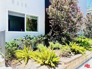 5263 Riverton Ave in Los Angeles, CA - Foto de edificio - Building Photo