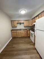 153 N Vail Dr in Madison Heights, VA - Building Photo