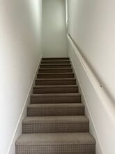 262 E Natasha Ave in Tracy, CA - Building Photo - Building Photo